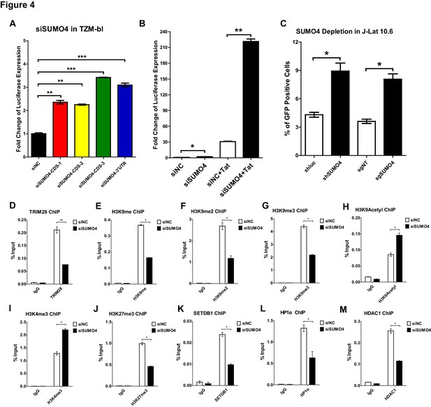 Figures and data in TRIM28 promotes HIV-1 latency by SUMOylating CDK9 ...