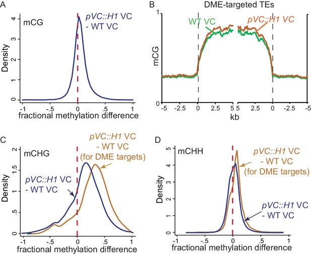 Figures And Data In Natural Depletion Of Histone H1 In Sex Cells Causes Dna Demethylation 1649