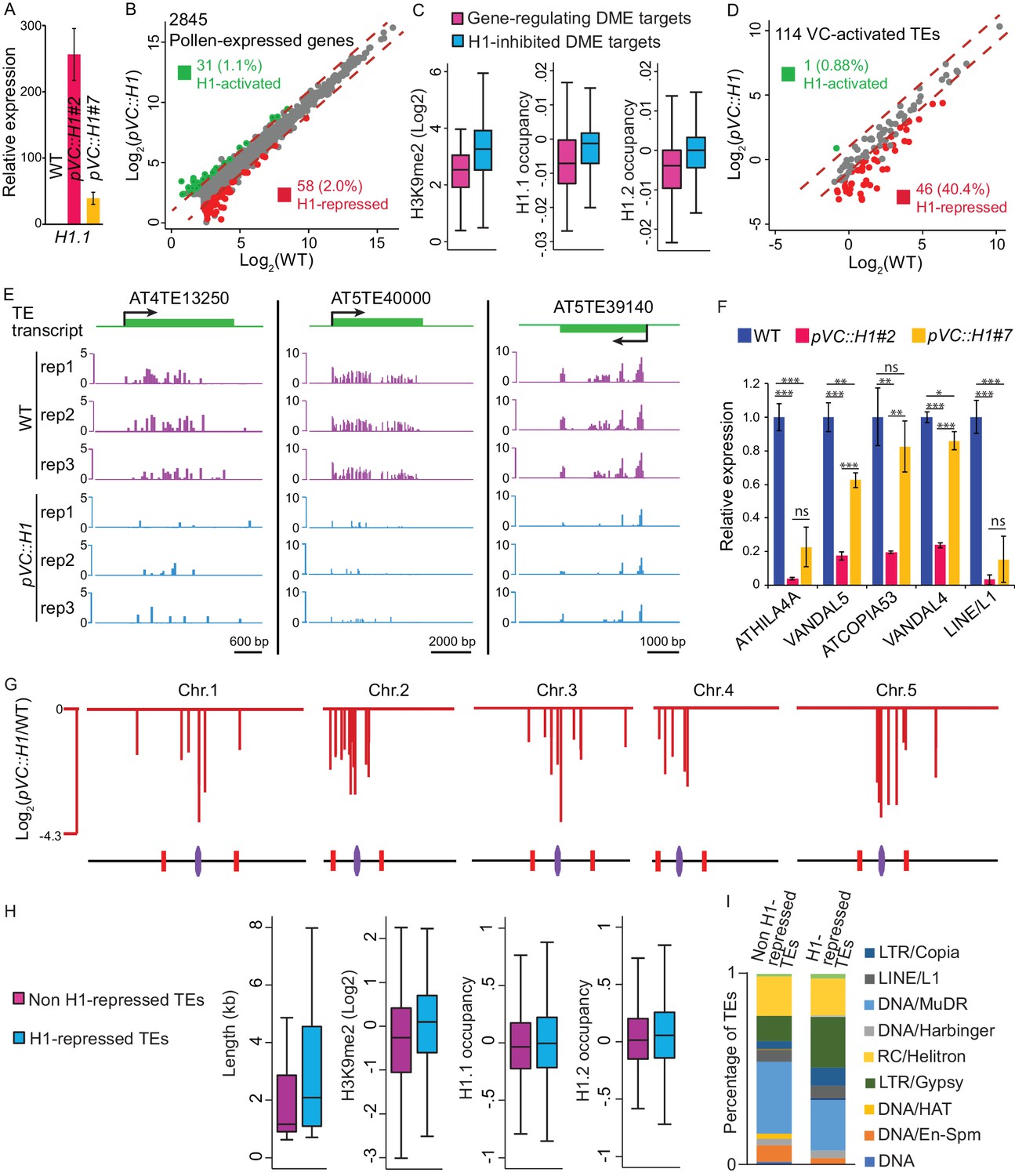 Natural depletion of histone H1 in sex cells causes DNA demethylation ...