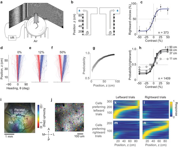 Decision and navigation in mouse parietal cortex | eLife