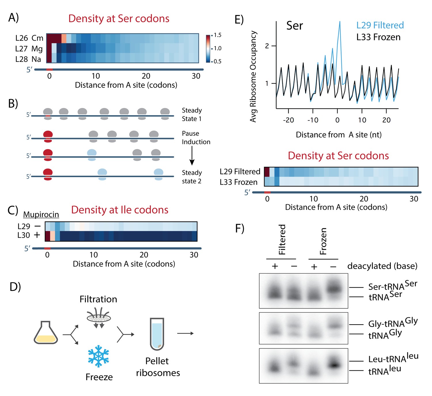 Figures And Data In A Systematically Revised Ribosome Profiling Method