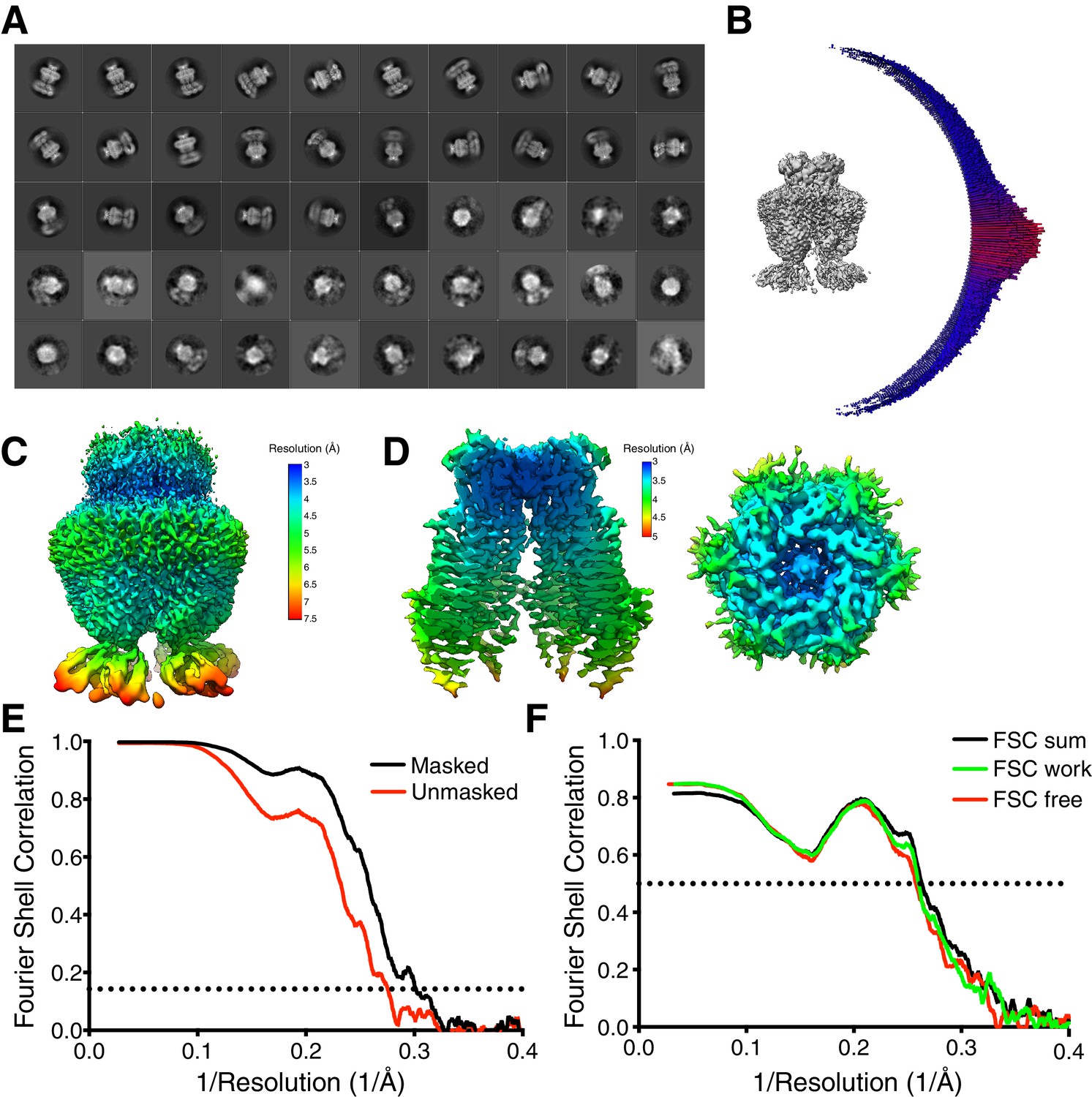 Figures and data in Cryo-EM structures of the DCPIB-inhibited volume ...