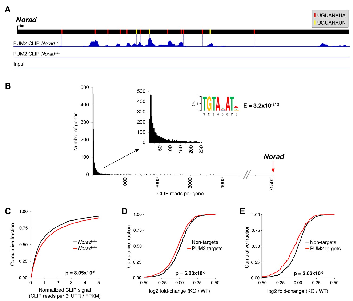 Figures And Data In PUMILIO Hyperactivity Drives Premature Aging Of ...