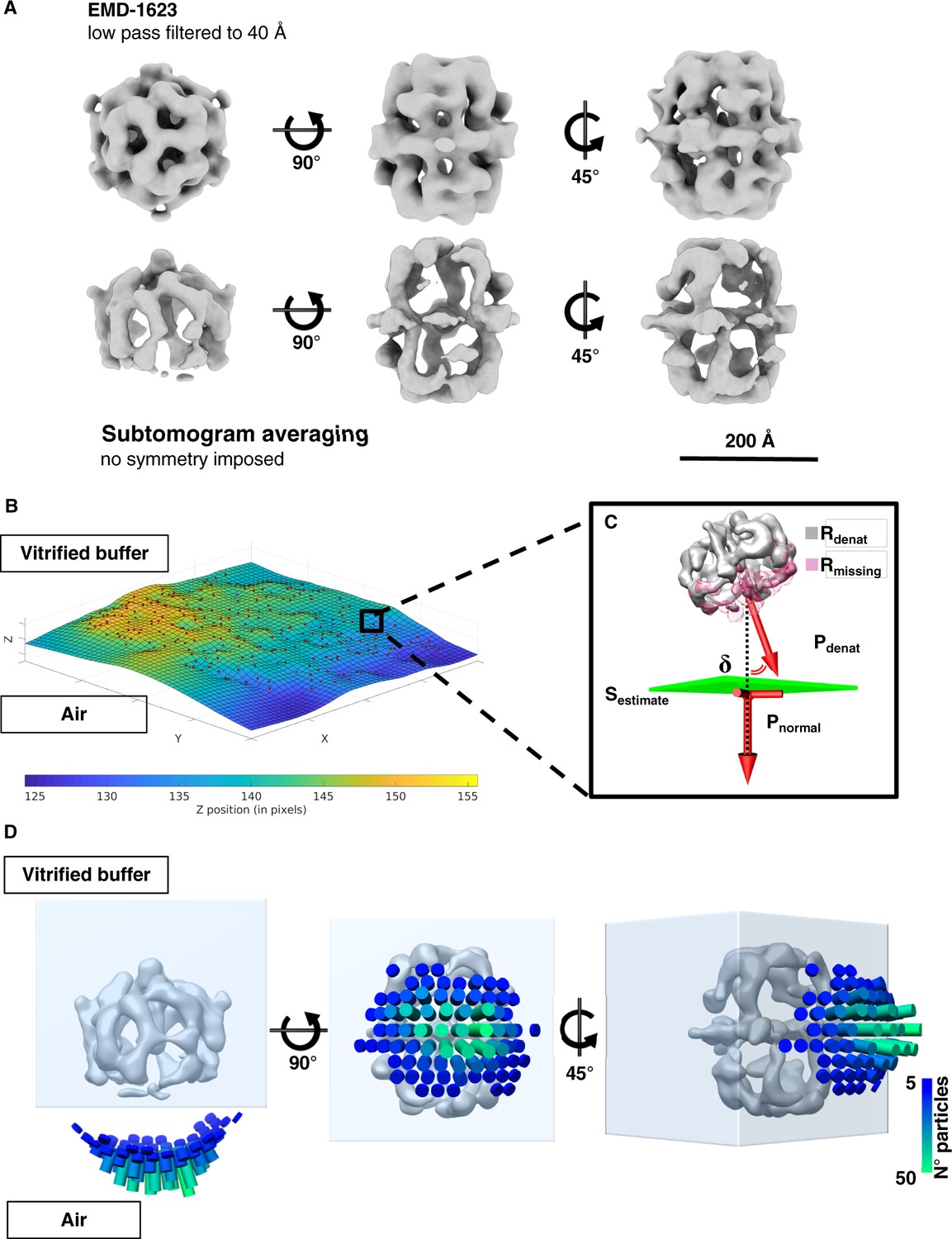 Figures and data in Protein denaturation at the air-water interface and ...