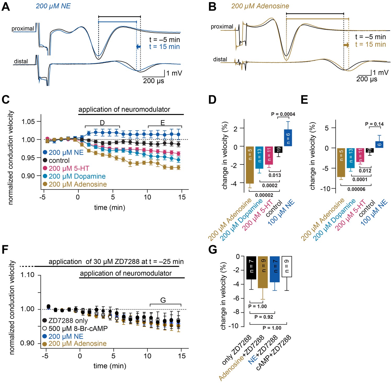 HCN channel-mediated neuromodulation can control action