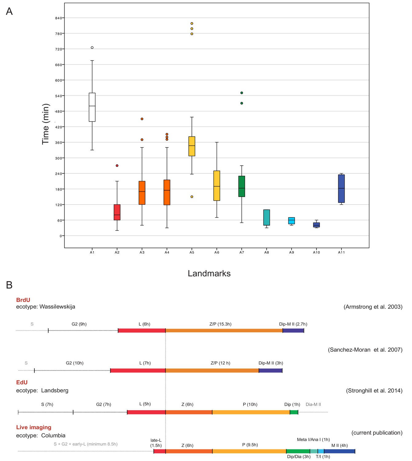 Figures and data in Live cell imaging of meiosis in Arabidopsis ...