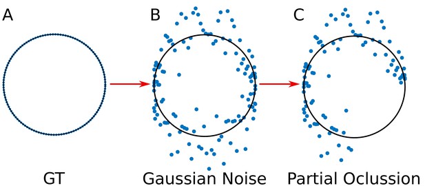 Nanoscale organization of rotavirus replication machineries | eLife