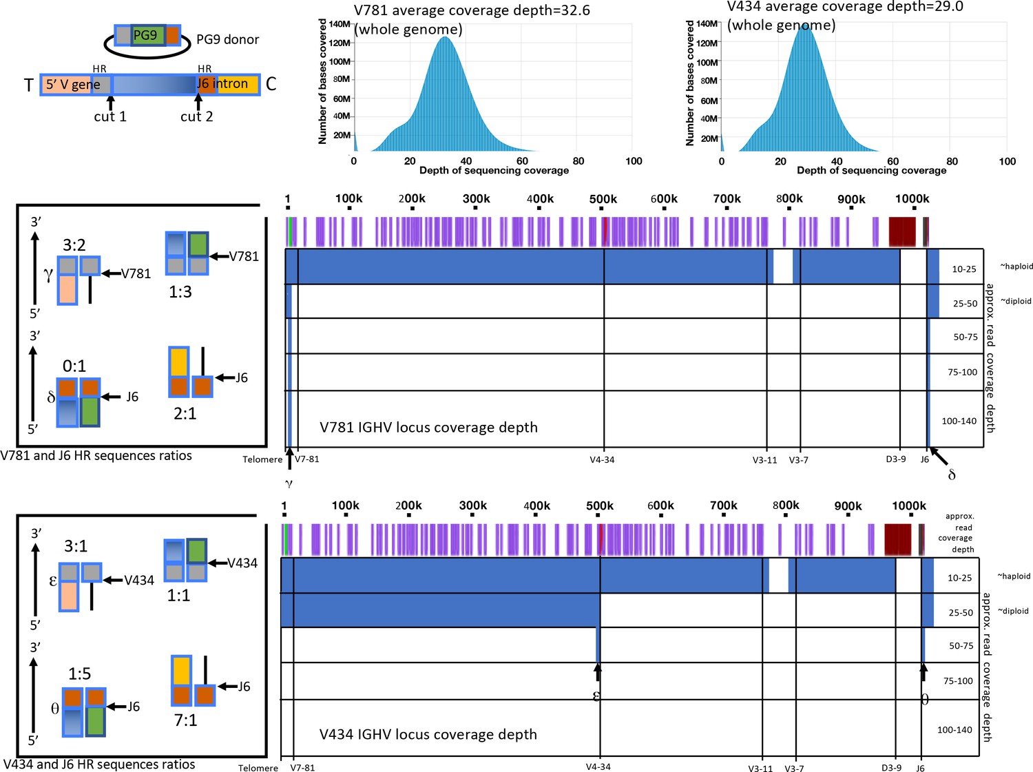 Figures And Data In Reprogramming The Antigen Specificity Of B Cells ...