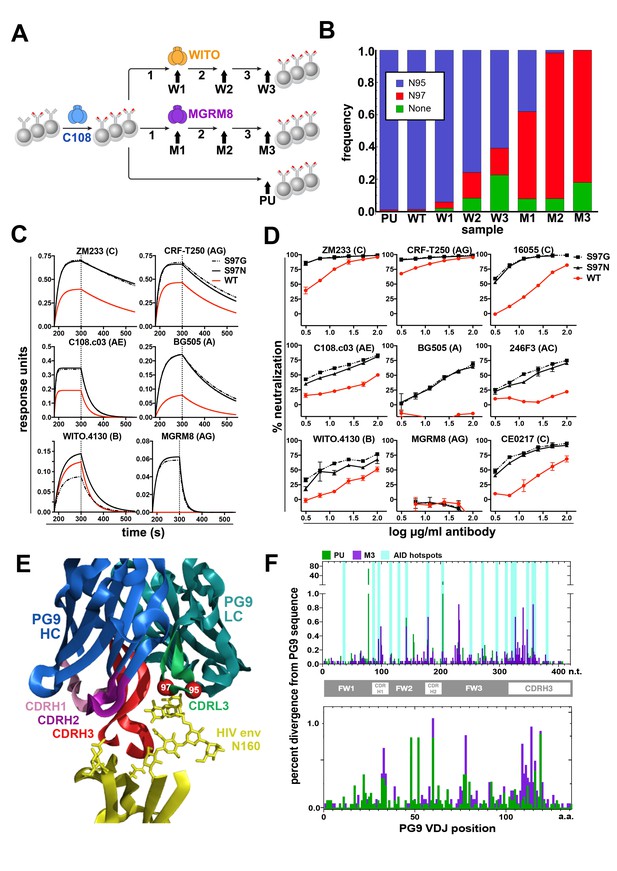 Reprogramming The Antigen Specificity Of B Cells Using Genome-editing ...