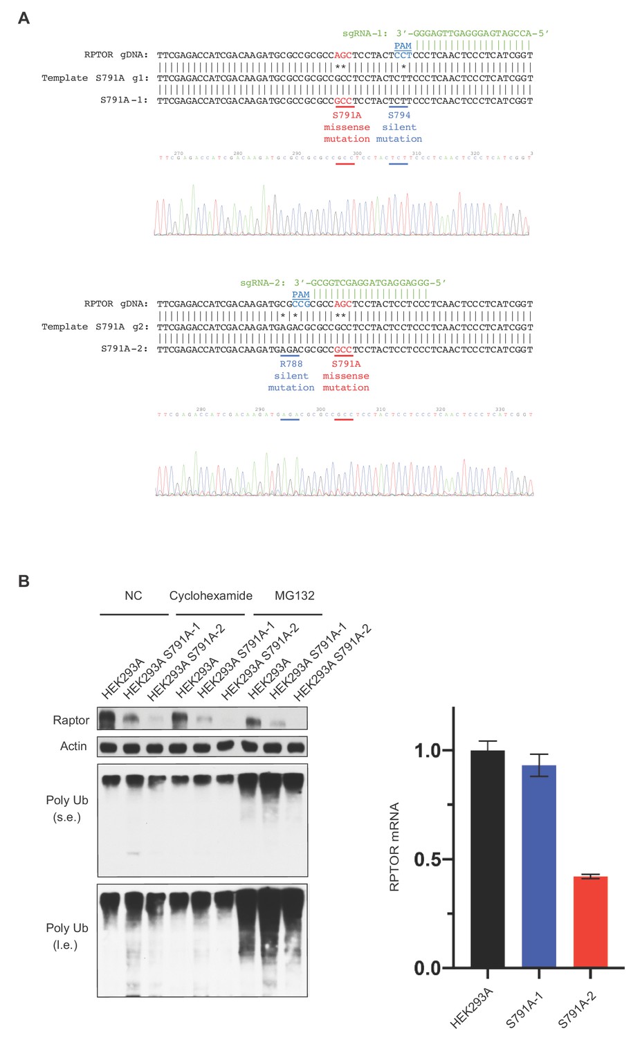 Figures and data in GPCR signaling inhibits mTORC1 via PKA ...