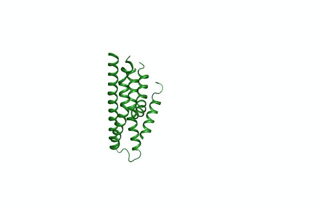 Figures And Data In Structural Basis Of Ca Dependent Activation And