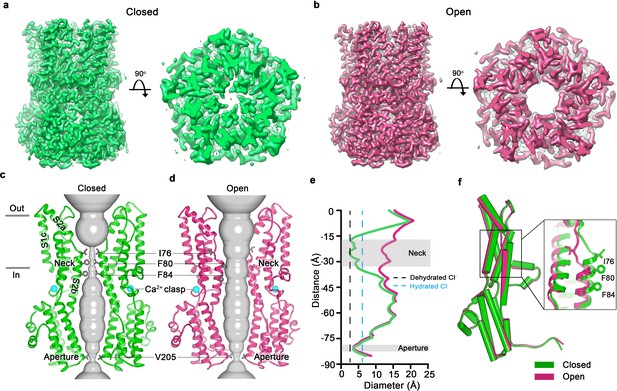 Figures And Data In Molecular Mechanisms Of Gating In The Calcium ...