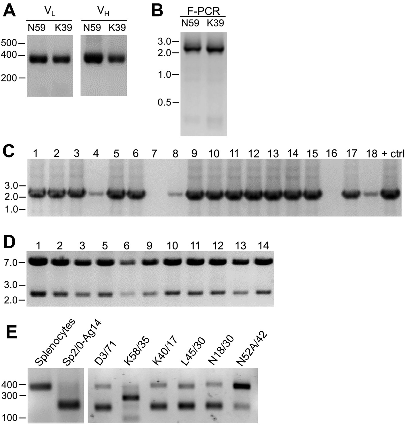 Full article: Impact of IgG subclass on monoclonal antibody