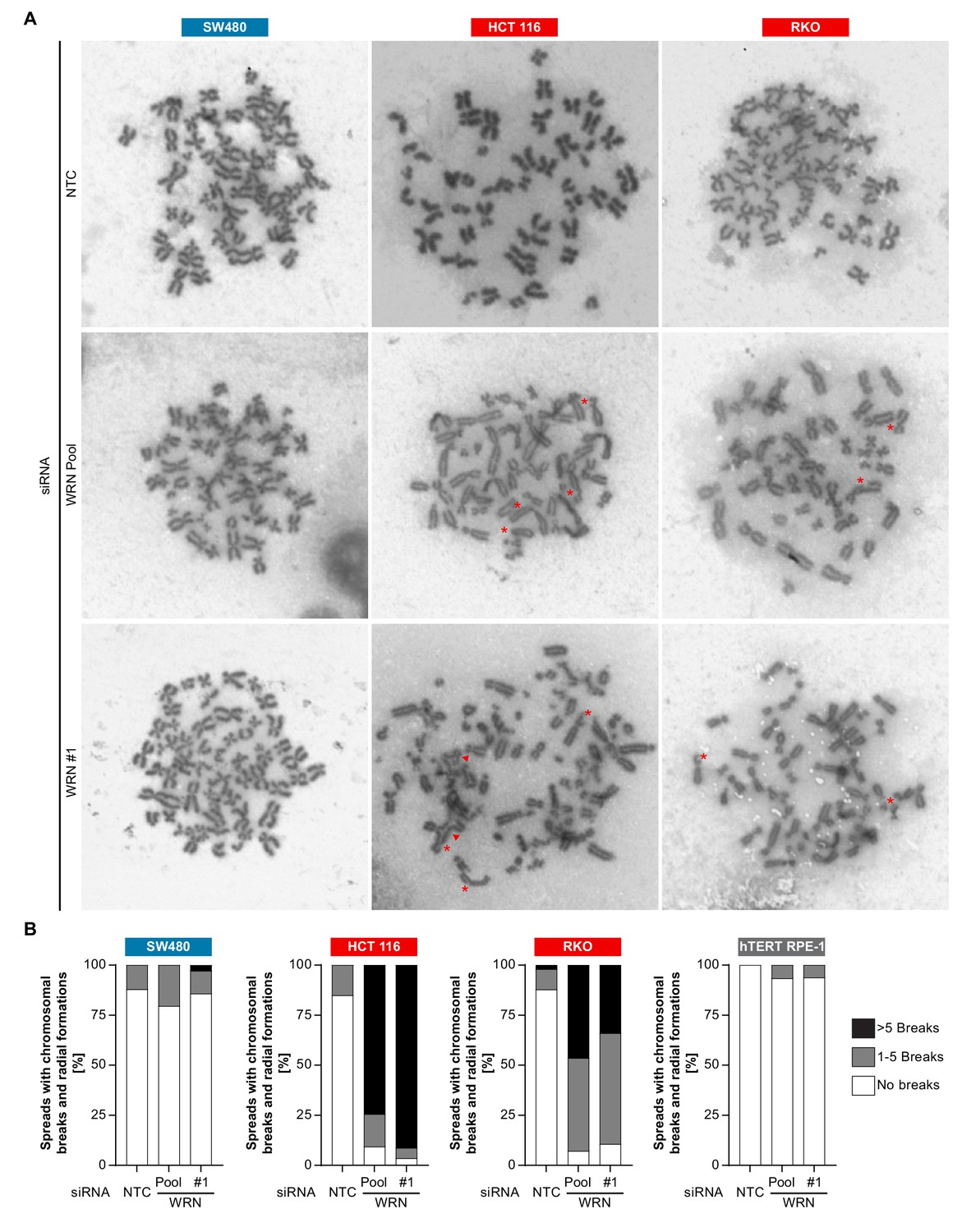 Werner Syndrome Helicase Is A Selective Vulnerability Of Microsatellite Instability High Tumor Cells Elife