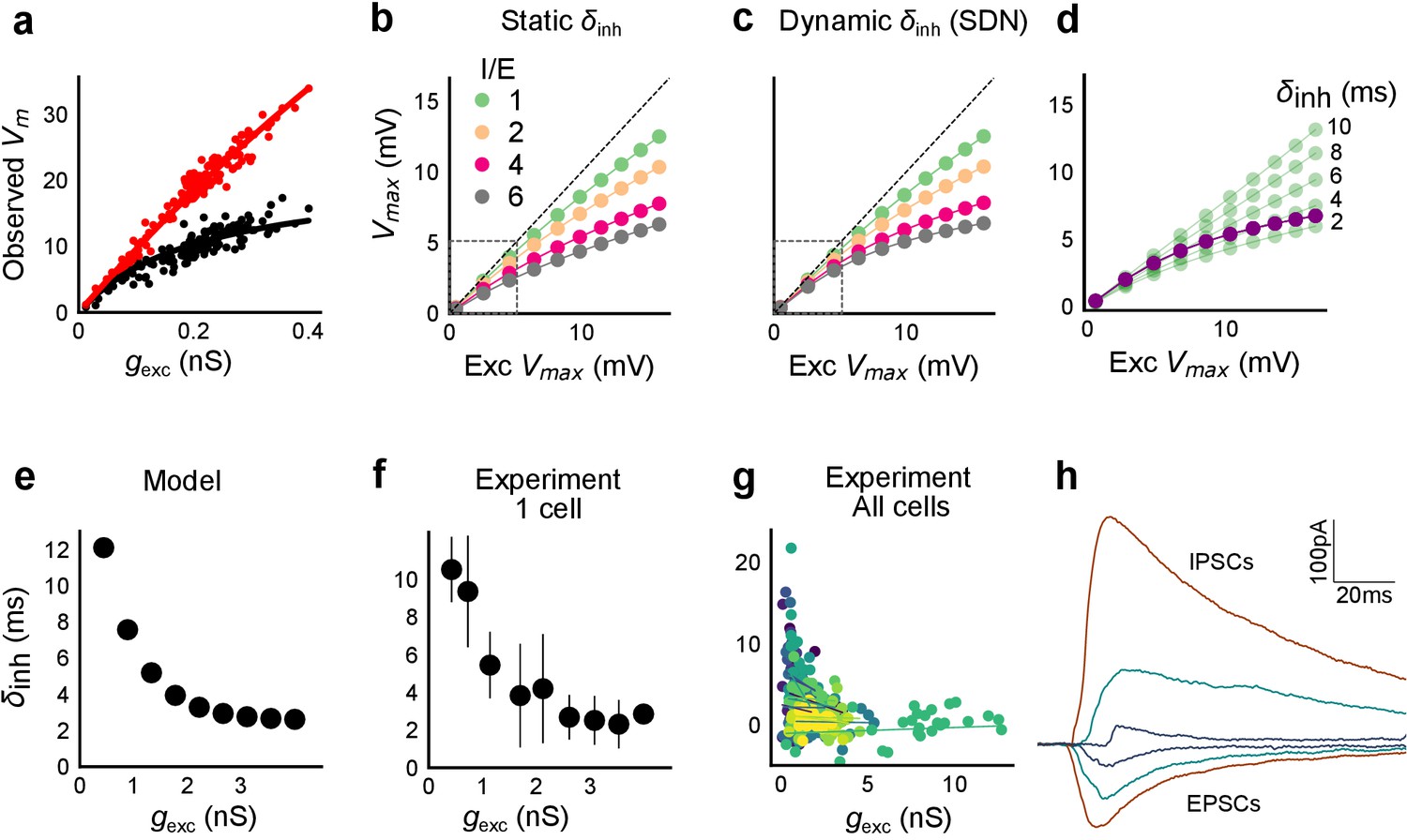 Precise Excitation-inhibition Balance Controls Gain And Timing In The ...