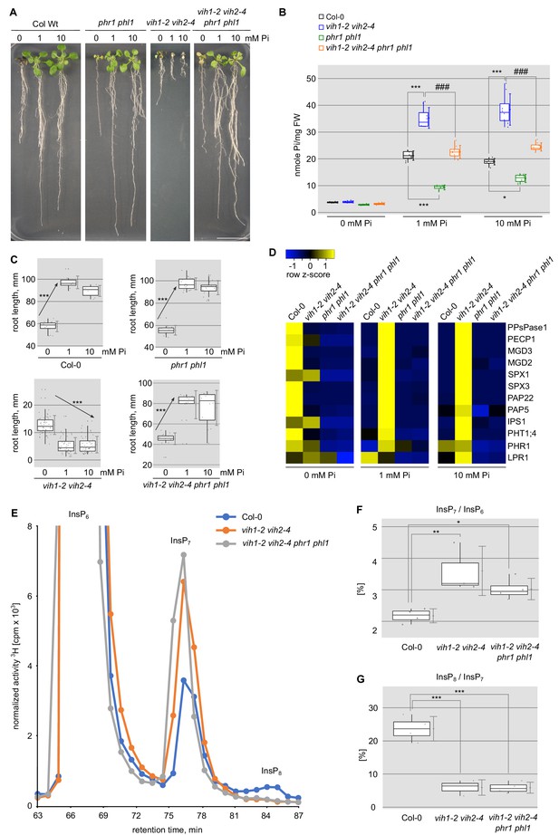 Figures And Data In Two Bifunctional Inositol Pyrophosphate Kinases ...