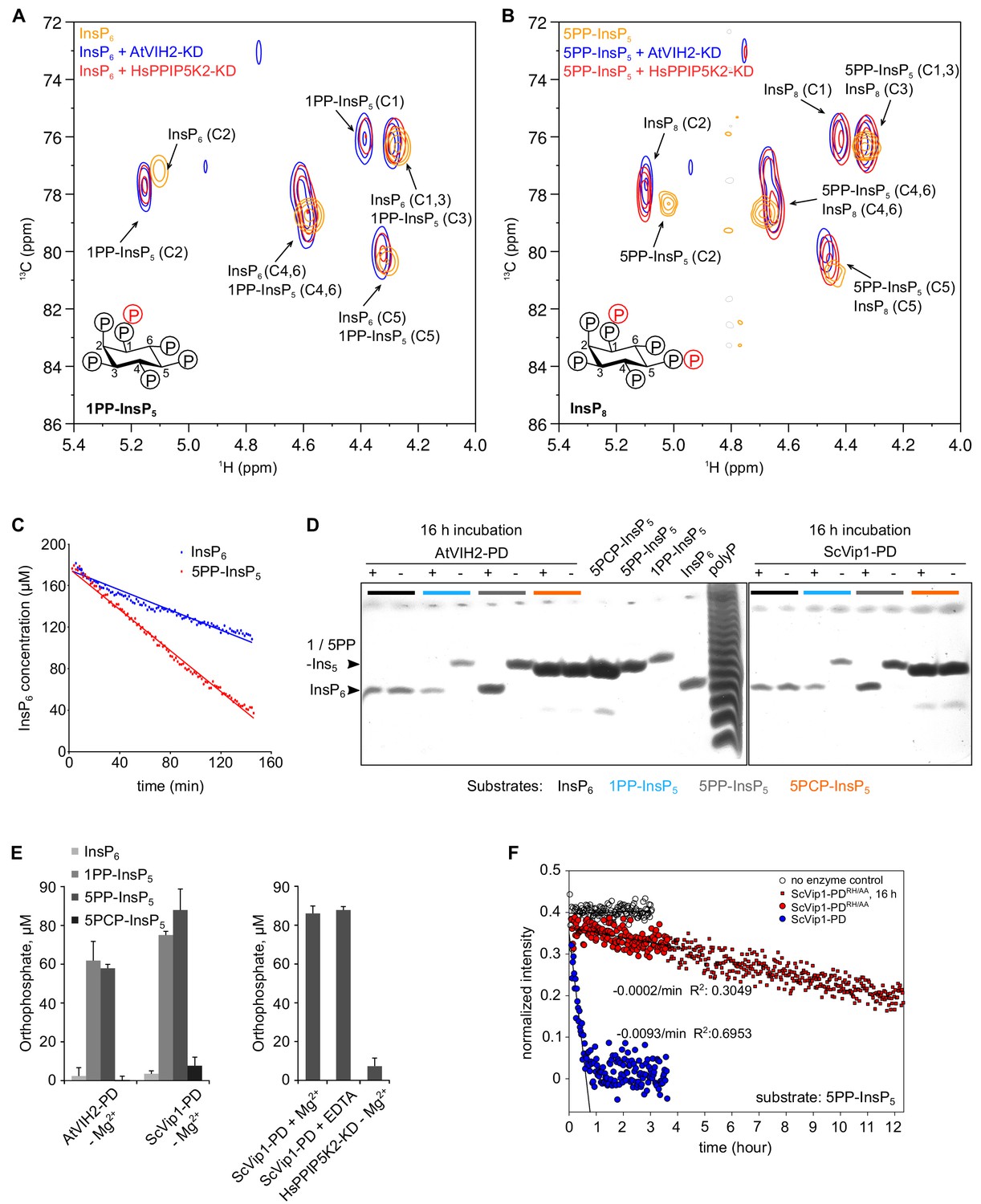 Two Bifunctional Inositol Pyrophosphate Kinases/phosphatases Control ...