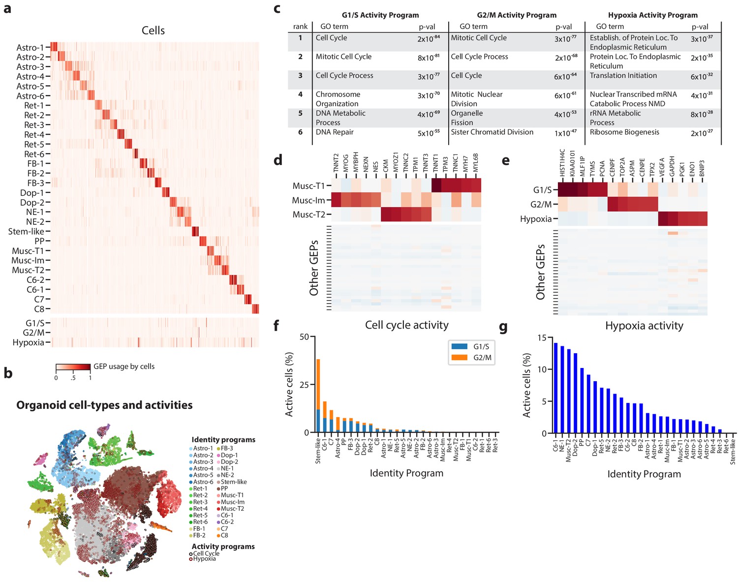 Identifying Gene Expression Programs Of Cell Type Identity And Cellular