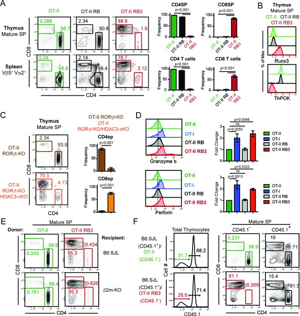 Figures And Data In HDAC3 Restrains CD8 Lineage Genes To Maintain A Bi