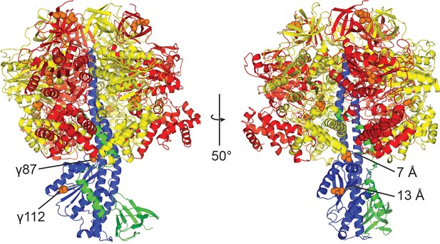 Figures And Data In Cryo-EM Reveals Distinct Conformations Of E. Coli ...