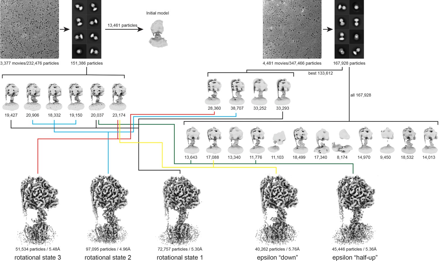 Figures And Data In Cryo-EM Reveals Distinct Conformations Of E. Coli ...