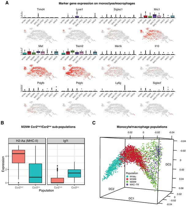 Figures and data in Singlecell expression profiling reveals dynamic