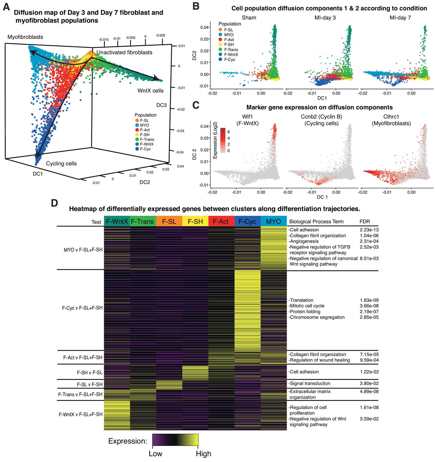 Figures and data in Single-cell expression profiling reveals dynamic ...