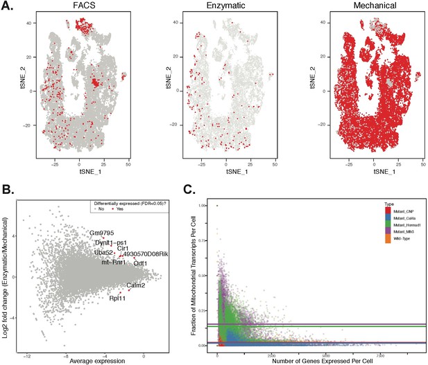 A Unified Theory Of Gene Expression Cell