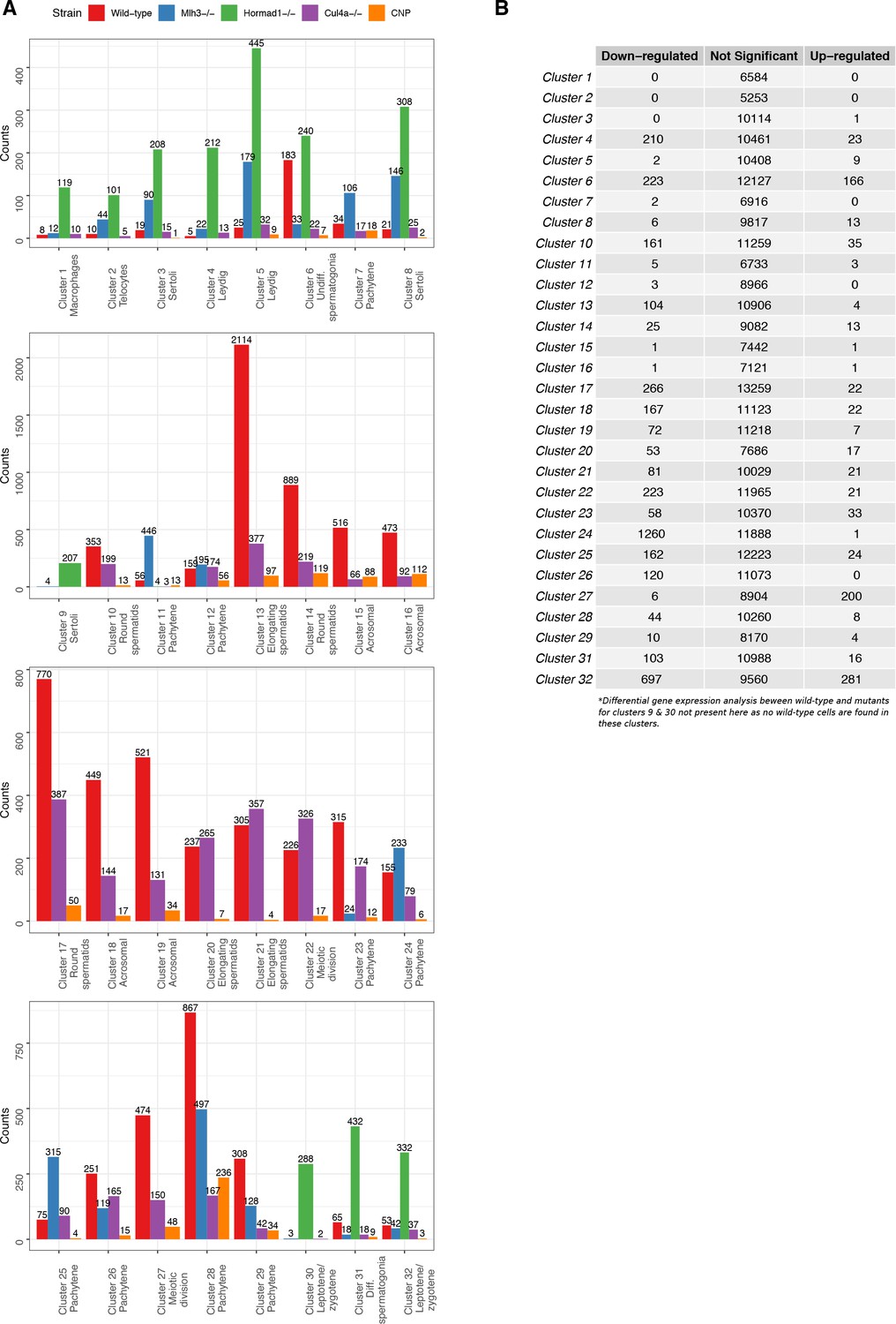 A Unified Theory Of Gene Expression Cell