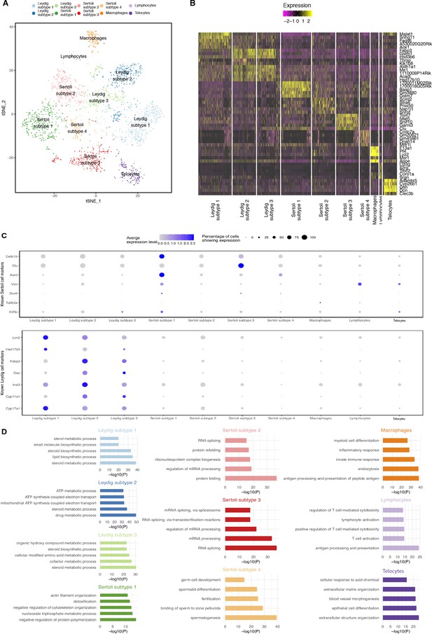 A Unified Theory Of Gene Expression Cell