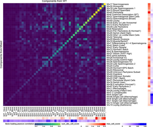 A Unified Theory Of Gene Expression Cell