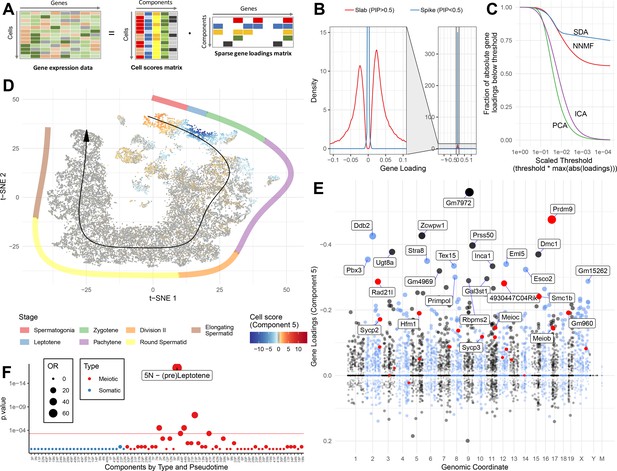 A Unified Theory Of Gene Expression Cell