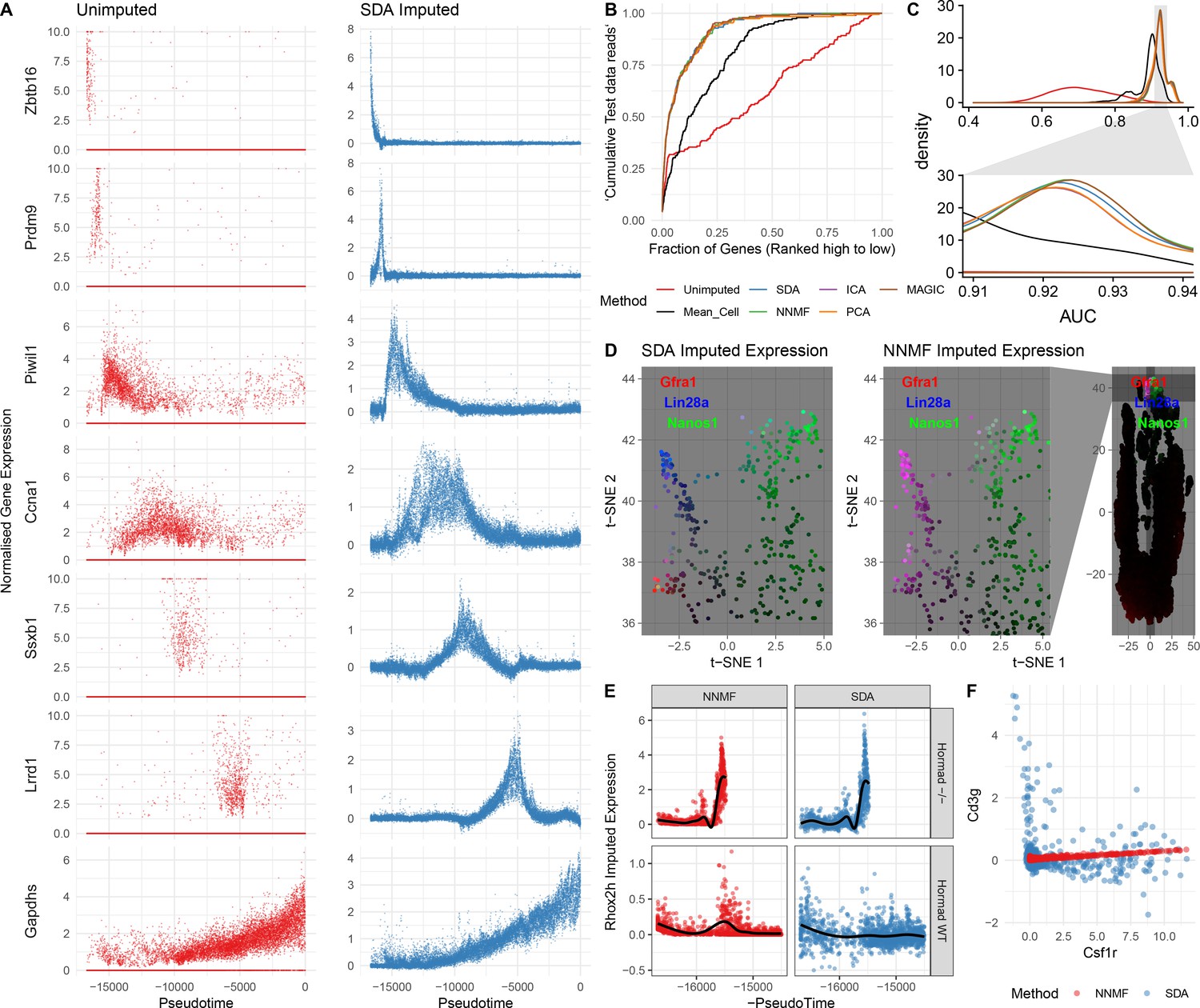 A Unified Theory Of Gene Expression Cell