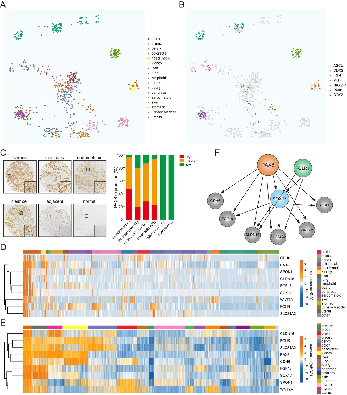 Figures And Data In PAX8 Regulon In Human Ovarian Cancer Links Lineage ...