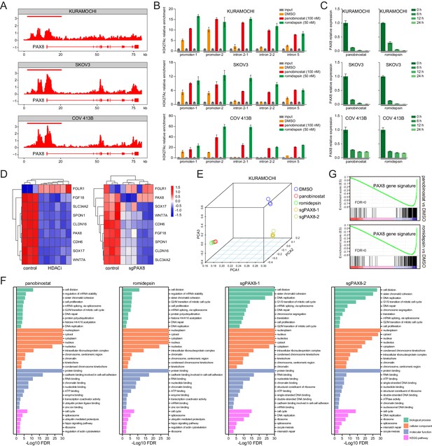 PAX8 regulon in human ovarian cancer links lineage dependency with ...