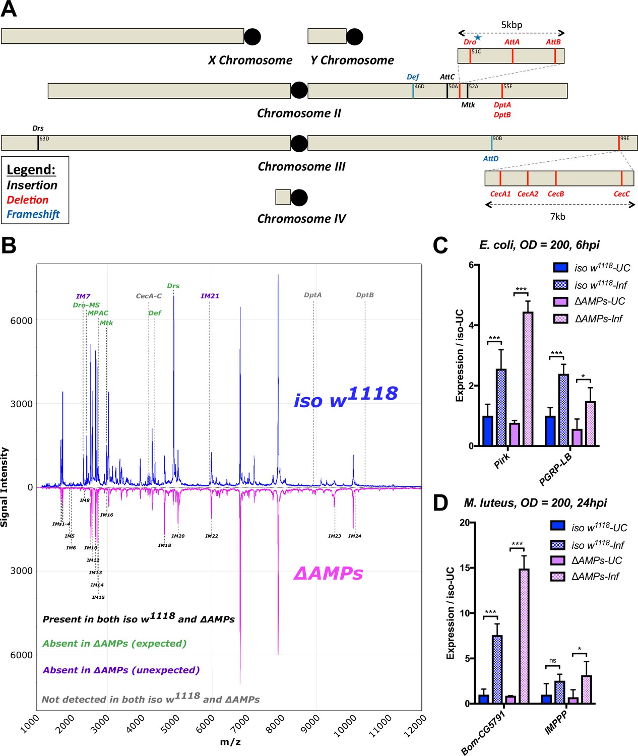 Synergy And Remarkable Specificity Of Antimicrobial Peptides In Vivo ...