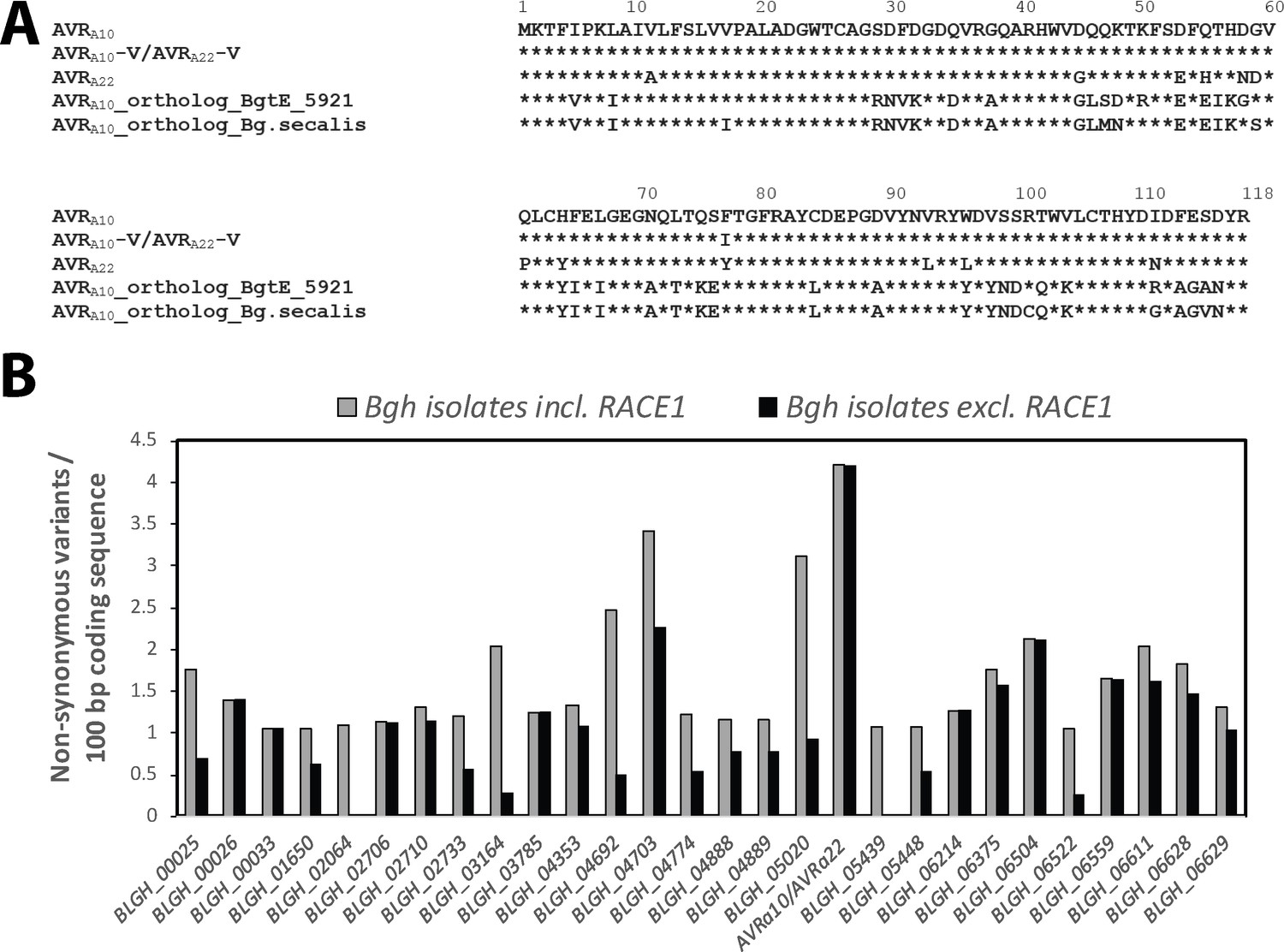 Multiple Pairs Of Allelic Mla Immune Receptor Powdery Mildew Avra Effectors Argue For A Direct Recognition Mechanism Elife