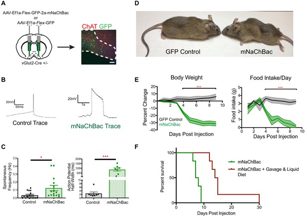 Figures and data in Sensory perception drives food avoidance through ...