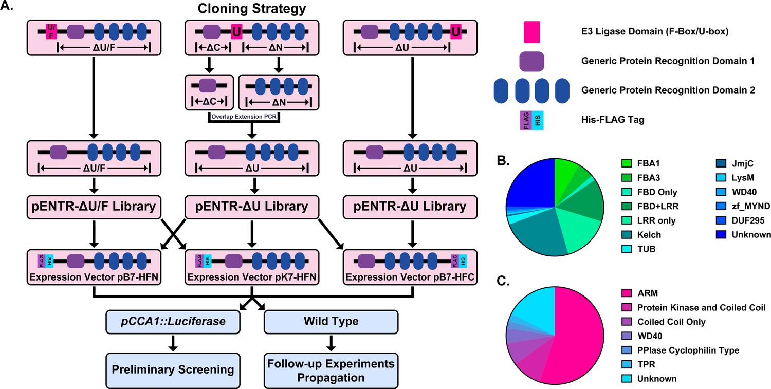 Figures And Data In Decoys Provide A Scalable Platform For The