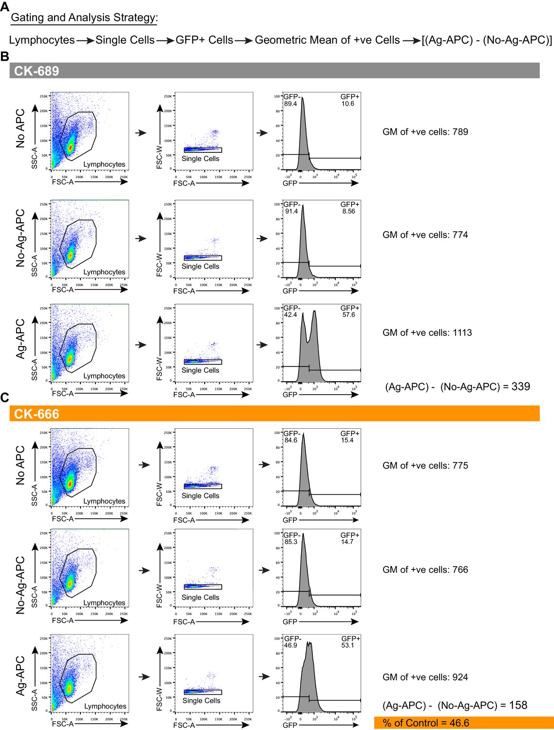 Figures And Data In Arp2/3 Complex-driven Spatial Patterning Of The BCR ...