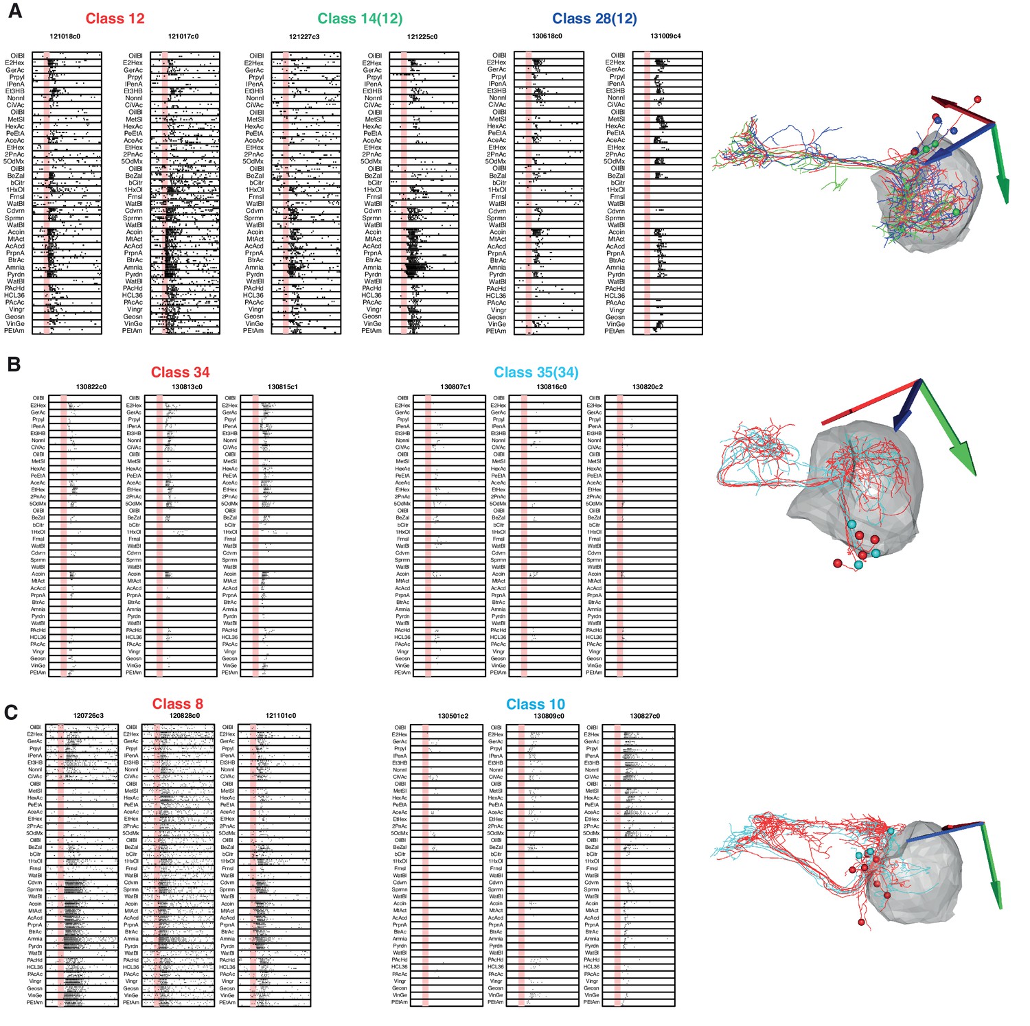 figures-and-data-in-functional-and-anatomical-specificity-in-a-higher