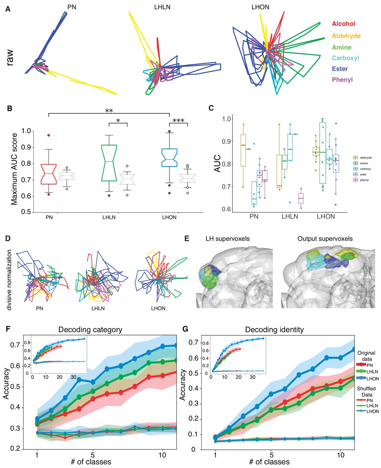 functional-and-anatomical-specificity-in-a-higher-olfactory-centre-elife