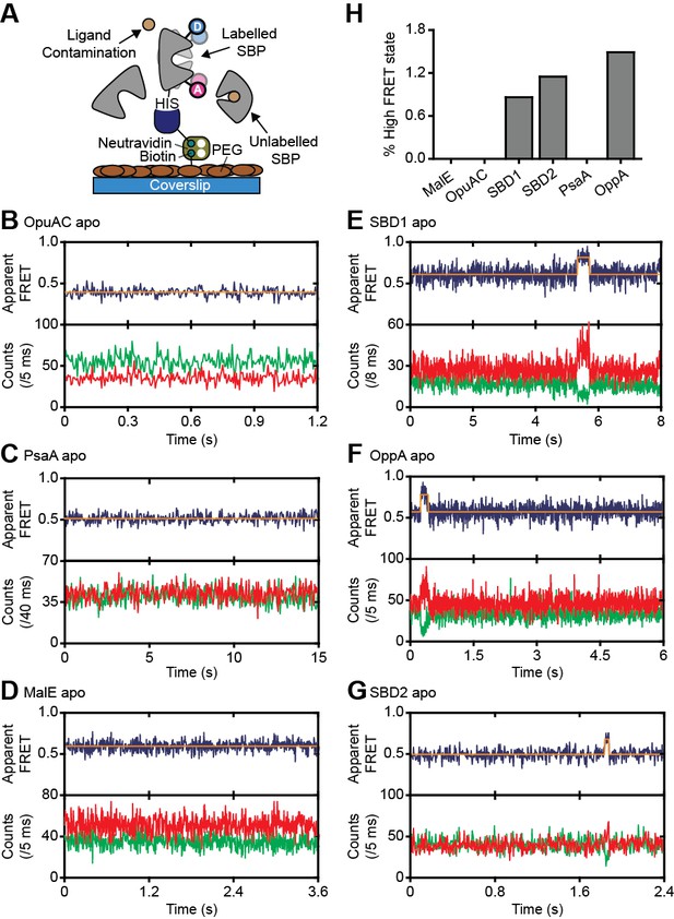 Figures And Data In Conformational And Dynamic Plasticity In Substrate