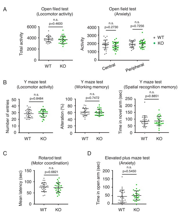 Figures And Data In Brain Specific Drp Regulates Postsynaptic