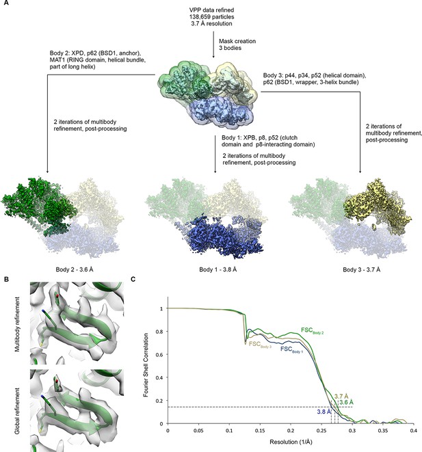 Figures And Data In The Complete Structure Of The Human TFIIH Core ...