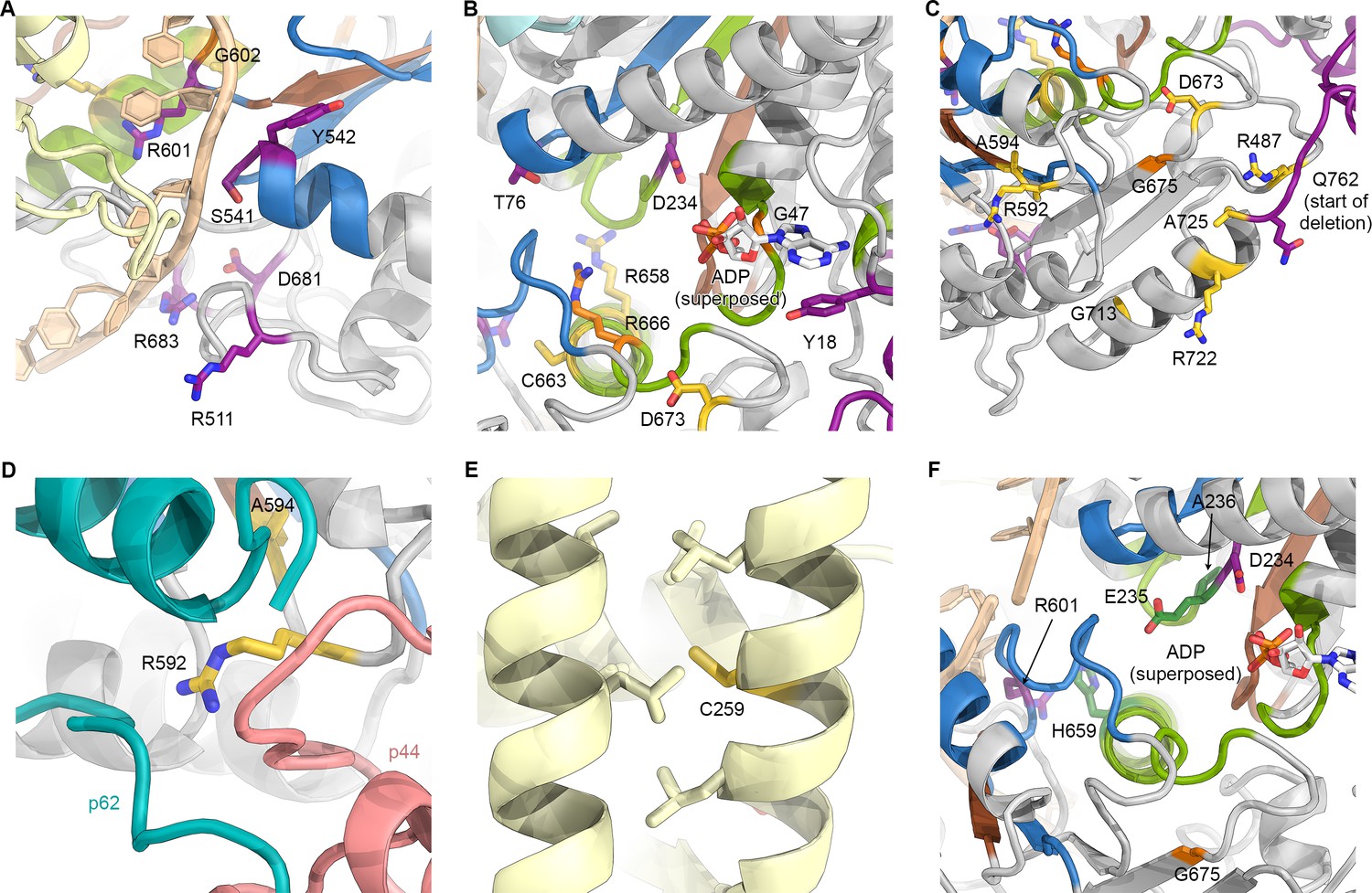 Figures and data in The complete structure of the human TFIIH core ...