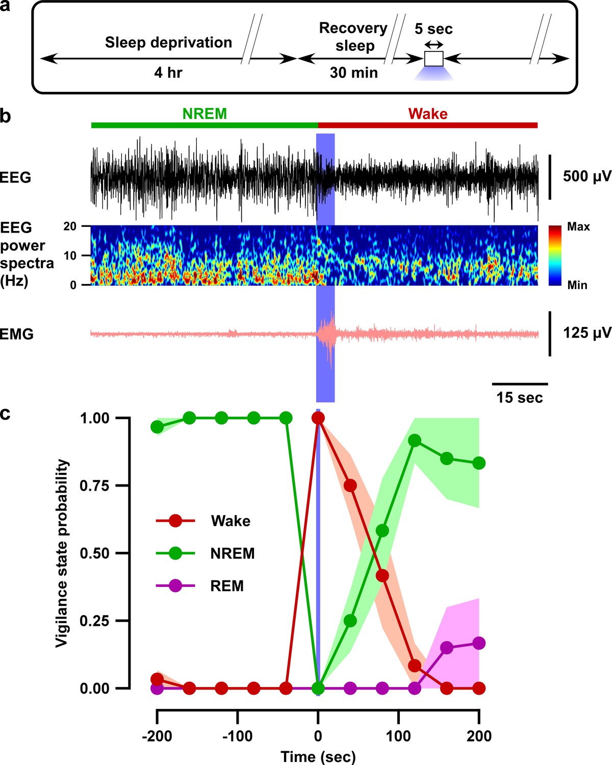 GABA neurons in the ventral tegmental area regulate non-rapid eye movement  sleep in mice