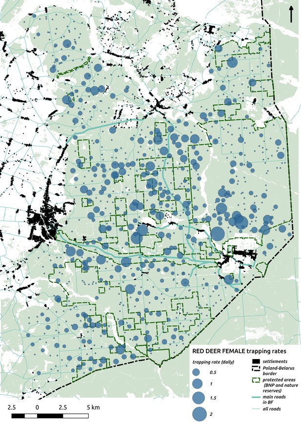 Linking spatial patterns of terrestrial herbivore community structure ...