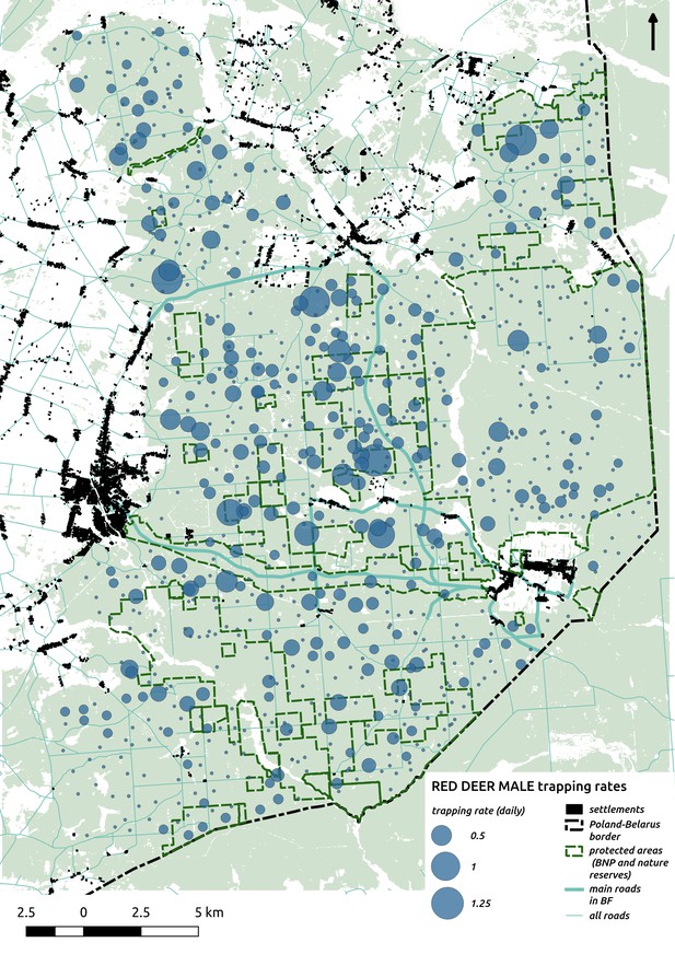 Linking spatial patterns of terrestrial herbivore community structure ...