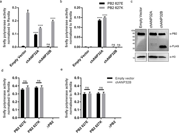 Species specific differences in use of ANP32 proteins by influenza A ...